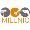 acerosmilenioconstructora.com